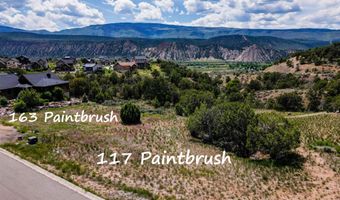 163 Paintbrush Way, Glenwood Springs, CO 81601