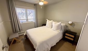 805 E Cooper Ave 12, Aspen, CO 81611