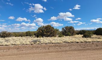 56 County Rd, Concho, AZ 85924