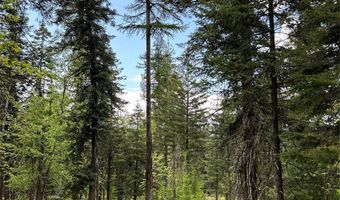 Nhn Black Wolf Trail, Bigfork, MT 59911