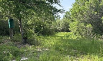 187 Ac Old River Rd, Baker, FL 32531