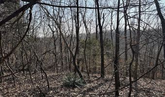 Pecks Drive N, Bergman, AR 72615