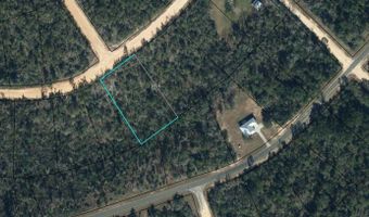 Southern Boulevard lot 17, Alford, FL 32420