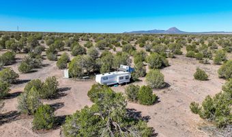Stockman'S Road, Ash Fork, AZ 86320