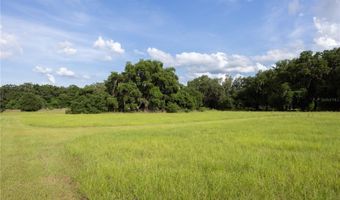 13224 SW 75TH Ter, Archer, FL 32618