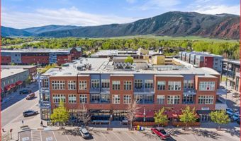 231 Robinson St 318, Basalt, CO 81621