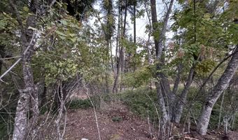 524 Glacier Loop, Bayview, ID 83803
