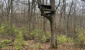 3 Salem Ridge Rd, Aurora, IN 47001
