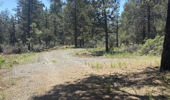 12543 Night Owl Dr, Bonanza, OR 97623