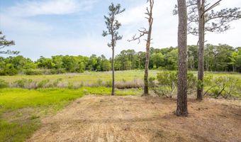 443 BLACK GUM Dr, Bethany Beach, DE 19930