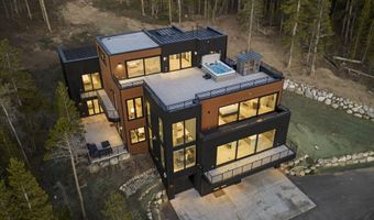 316 N Fuller Placer Rd, Breckenridge, CO 80424