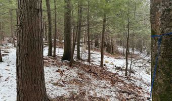 15 60 / 12 Brynn Ln, Alton, NH 03809