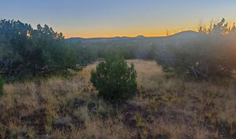 1 COUNTY ROAD N8155, Concho, AZ 85924