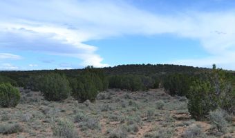 32 N8544 398, Concho, AZ 85924