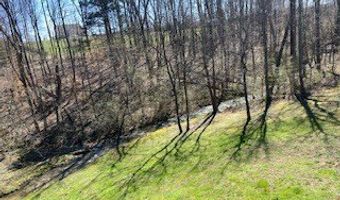 5006 SW Hayden Ct, Baxter, TN 38544