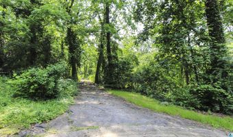 0 LANIER Pl 26.25 ac, Anniston, AL 36207