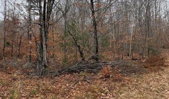 M5/L27 Pond Road, Abbot, ME 04406