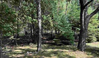 7763 Lagoon, Alanson, MI 49706