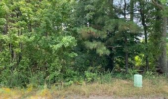 Daniels Lane lot 1-D, Bennettsville, SC 29512