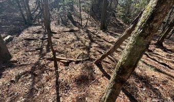 12 68 Acre 99 Rd, Blair, SC 29015