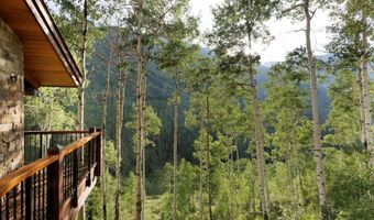 6770 Castle Creek Rd, Aspen, CO 81611