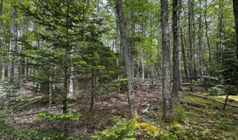 Hadley Point Road lot 0, Bar Harbor, ME 04609