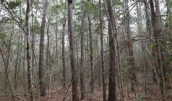 TBD Hwy. 29, Brooklyn, MS 39425