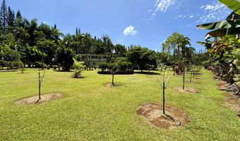 29-3707 KANNA Rd, Hakalau, HI 96710