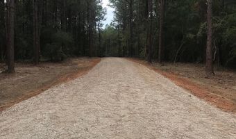 00 TRACT # 2 Burgetown Rd, Carriere, MS 39426
