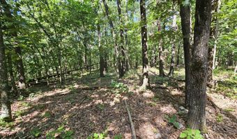 65 Acres Plainview Rd, Anderson, MO 64831