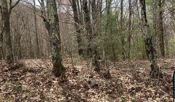 Tbd Old Mountain Road, Banner Elk, NC 28604