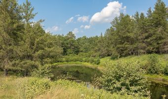 1224 28th Ave SW, Backus, MN 56435