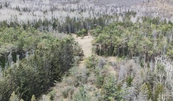 5280 Cathro Rd, Alpena, MI 49707