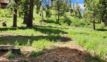 332 Snowshoe Rd, Bear Valley, CA 95223