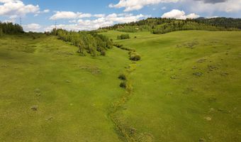 FALCON Drive, Alpine, WY 83128