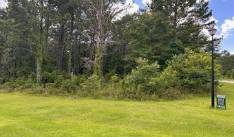 LOT 4 Seminole Ridge, Bainbridge, GA 39819