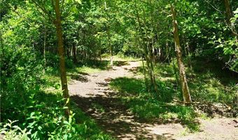 843 Wilson Ml, Bassett, VA 24055