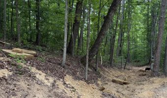 Ashland Camp Loop lot 163, Beattyville, KY 41311