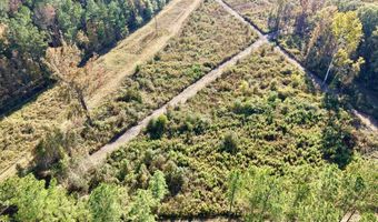 TBD Binnicker Bridge Road, Bamberg, SC 29003