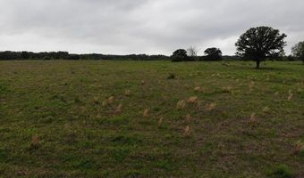 Lot 6 Rains County Rd 2610, Alba, TX 75410
