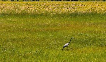 WILLOW CREEK ROAD lot 7, Bedford, WY 83112