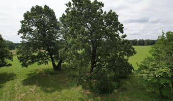 Tract 1 0000 Private Road 1184, Aurora, MO 65605