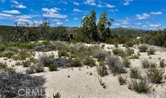 38750 Reed Valley Rd, Aguanga, CA 92536