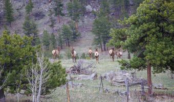 TBD Old Flowers Road, Bellvue, CO 80512