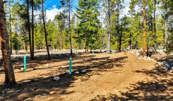 265 Placer Dr Lot 10, Alma, CO 80420