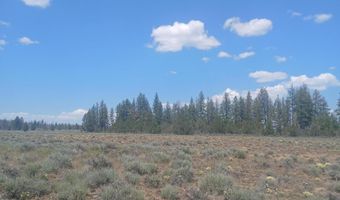 Toddy Drive Lots 18,19,&20, Beatty, OR 97621