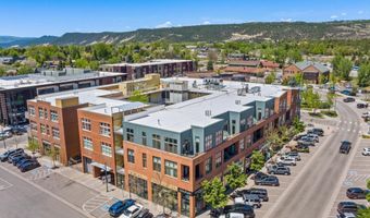 231 Robinson St 310, Basalt, CO 81621