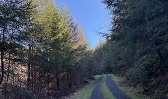 Steer Creek Rd, Blodgett, OR 97326