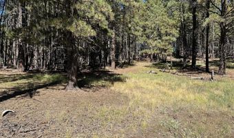 Lot 7 Blk D St Andrews Way, Angel Fire, NM 87710