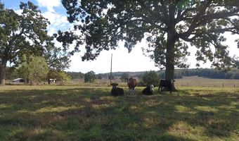 County Road 113, Alton, MO 65606